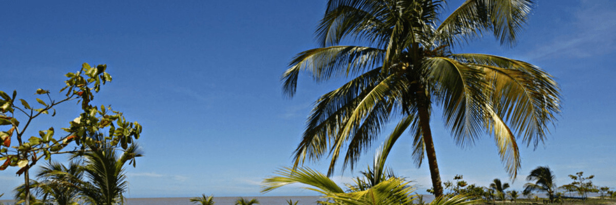 1200 X 400 site web (3) (1)