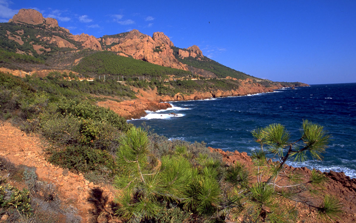 massif esterel