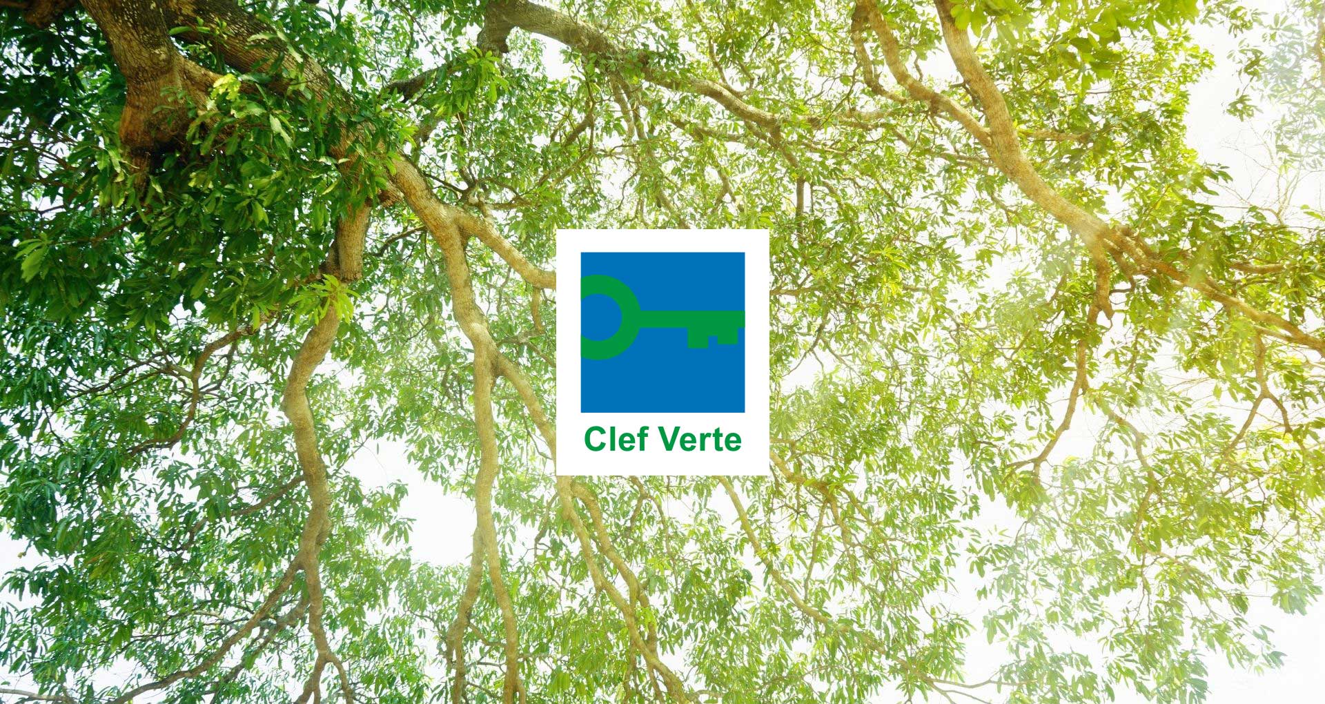 clef verte