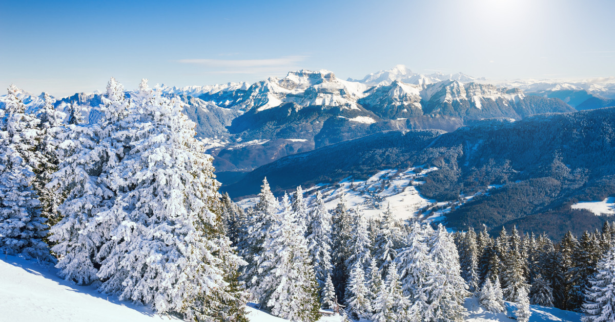 nature bol d'air photo spectaculaire hiver