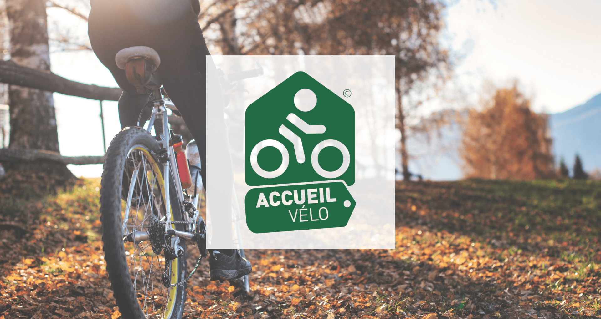 accueil vélo