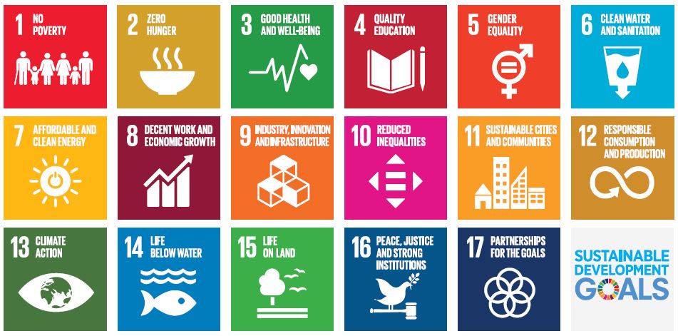 UN Sustainable Development Goals (SDGs)