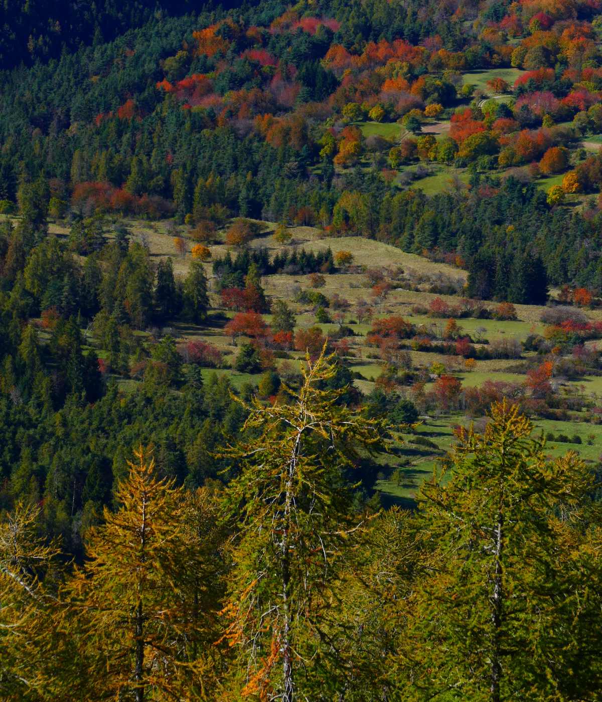Nature VALDEBLORE Vacances nature