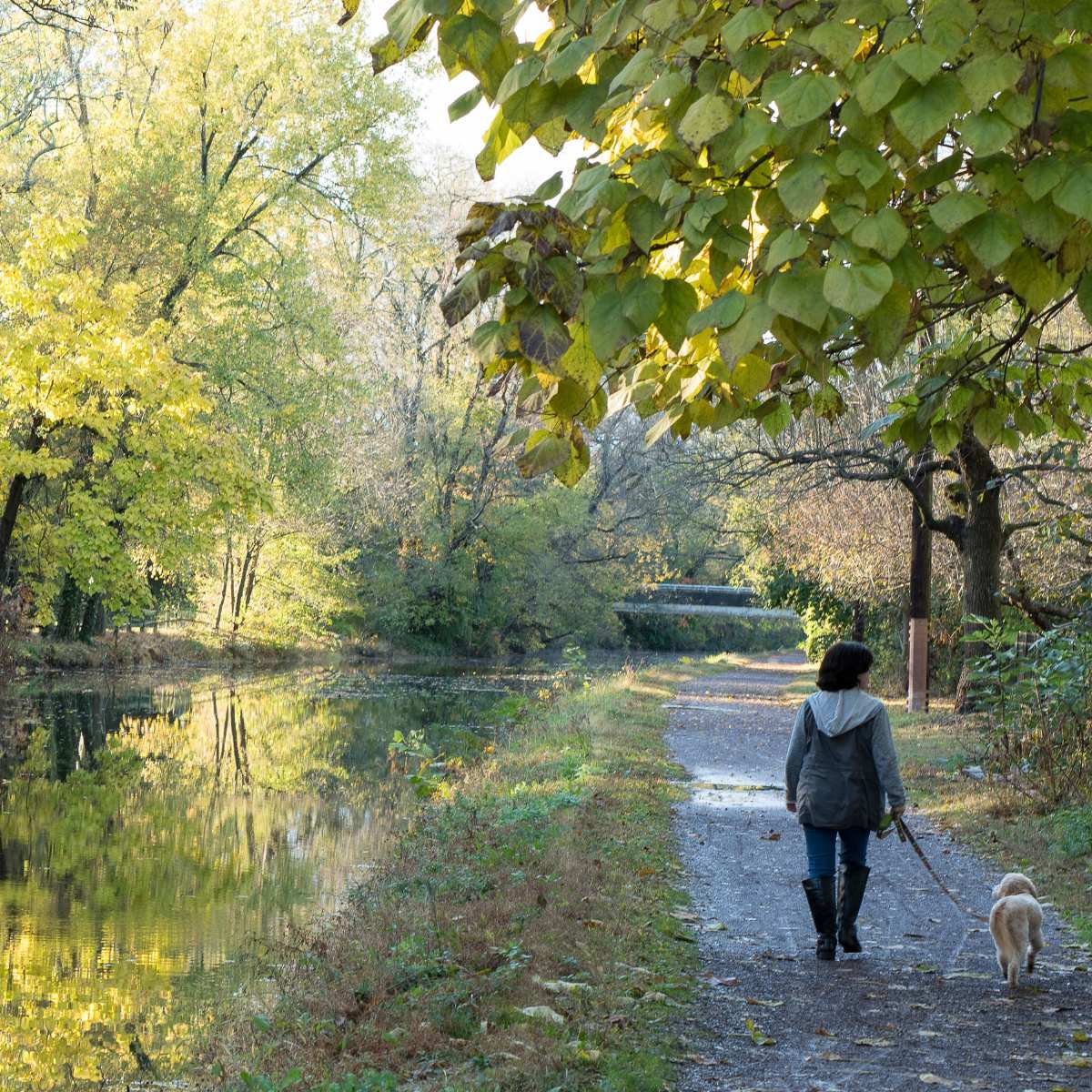 marche le long canal